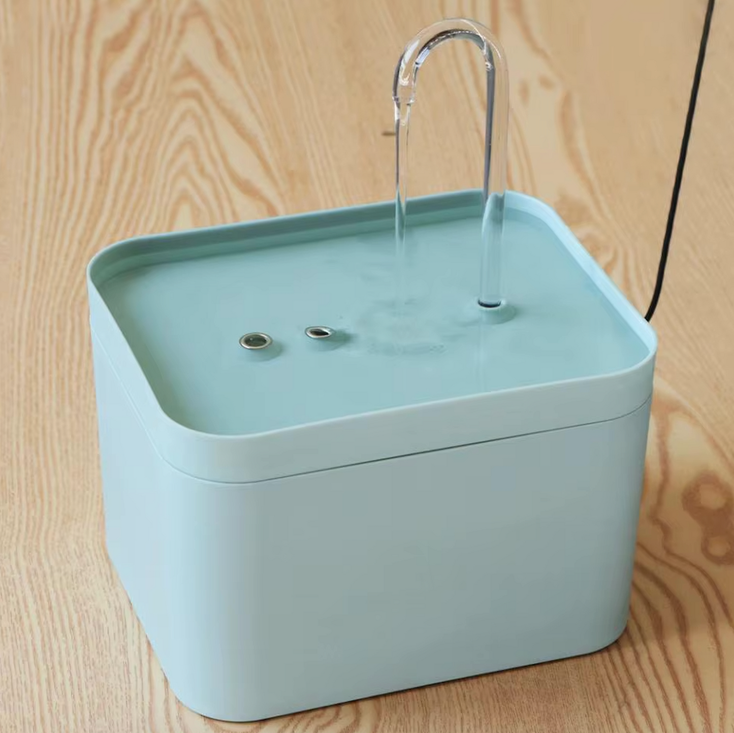 Wasserfontäne für eine optimale Hydratation Ihres Katers