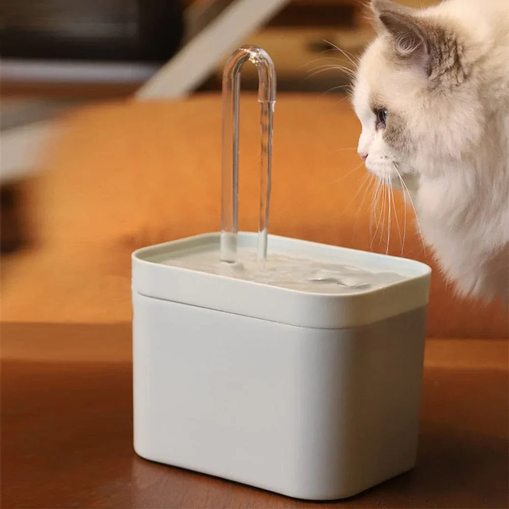 Wasserfontäne für eine optimale Hydratation Ihres Katers