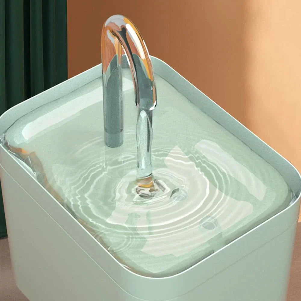 Wasserfontäne für eine optimale Hydratation Ihres Katers