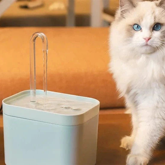 Wasserfontäne für eine optimale Hydratation Ihres Katers