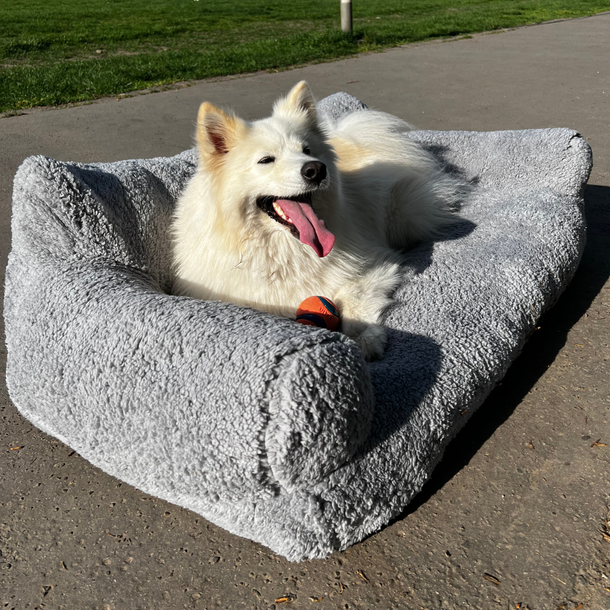 Sofá relaxante para animais - Conforto e serenidade garantidos 