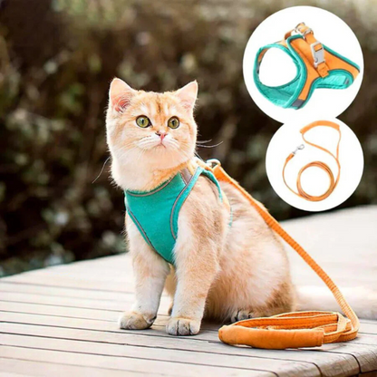 Bequemer und sicherer Katzenharness - Ideal für Ausflüge 