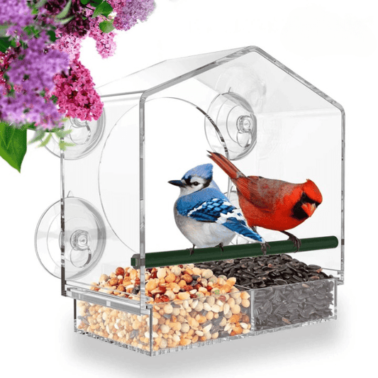 Premium-Fenster-Vogelfutterhaus